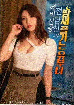 电影铁皮月亮海报